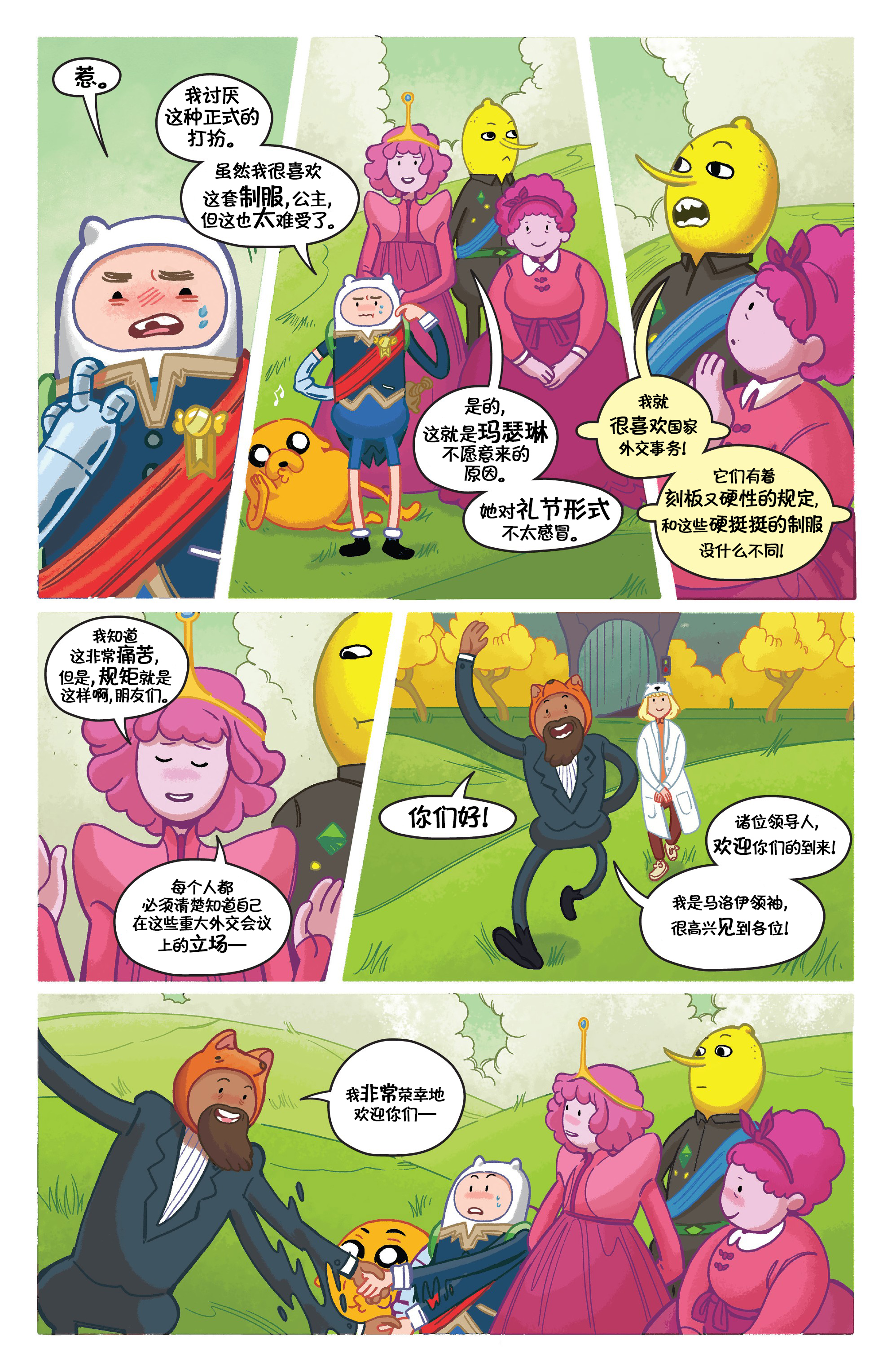 第6页