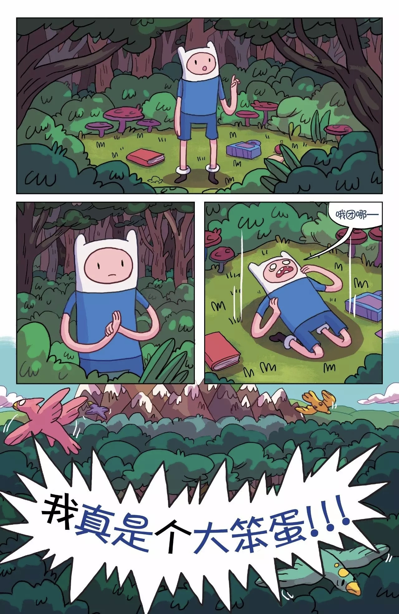 第17页